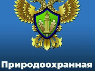 Нижегородская межрайонная  природоохранная прокуратура разъясняет изменения, внесенные в законодательство об отходах